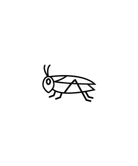 Cricket Insect Line Iconvector Best Line Icon Stock Vector