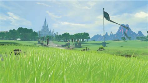 The Battle Of Hyrule Field Zelda Wiki