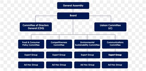 Board Of Directors Business Corporation Chief Executive Organization