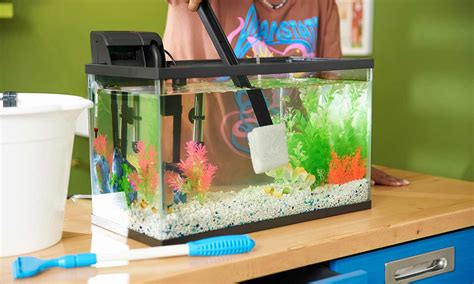 The Essential Guide To Cleaning Your Freshwater Fish Tank