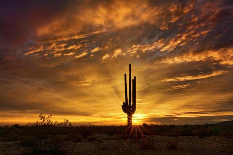 Just Another Sonoran Sunset Photograph By Saija Lehtonen