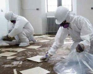 Just don't smash, scrape or sand them. Asbestos Facts, Asbestos History, and Asbestos Removal ...