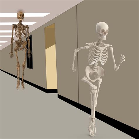 Old Floating Skeleton Chasing New Skeleton For Spooktober Meme