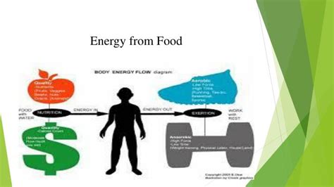 Ppt Energy From Food Powerpoint Presentation Free Download Id1588653