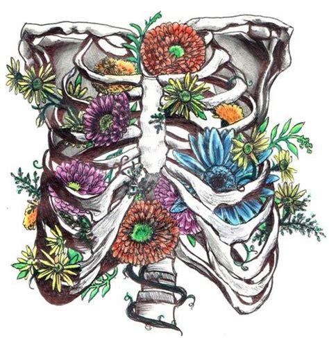 Shoulder and rib cage diagram. rib cage flowers - Google Search | Human anatomy art ...