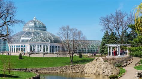 Visit Como Park Zoo And Conservatory Jeff Anderson