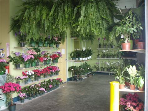 As a family owned professional florist, avas flowers® offers same day flower delivery in santa ana and throughout orange county. Orange County Wholesale Flowers - Florists - Santa Ana, CA ...