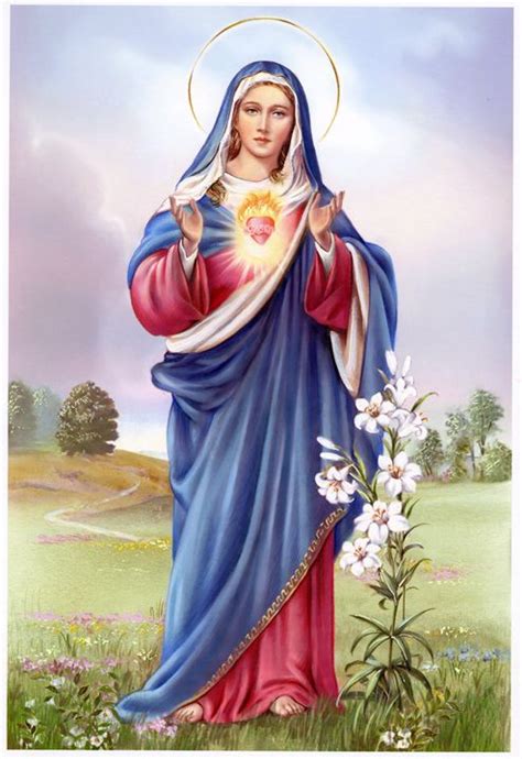 Sacred Heart Of Virgin Mary Arthousedesign Drawings Illustration