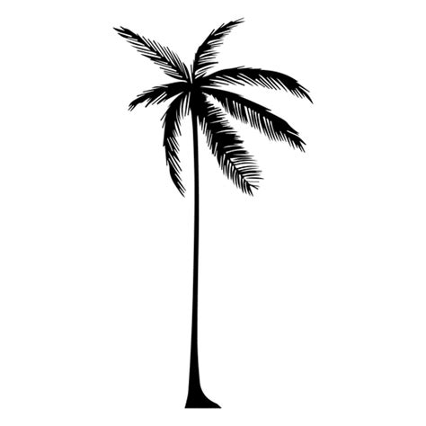 Download this free icon about palm tree silhouette 2, and discover more than 14 million professional graphic resources on freepik. Silhouette of a palm tree - Transparent PNG & SVG vector file