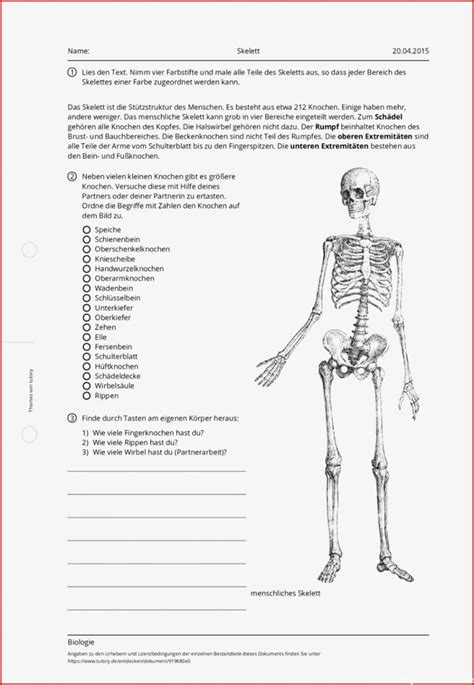 Atemberaubend Biologie Skelett Arbeitsblatt Kostenlos F R Sie