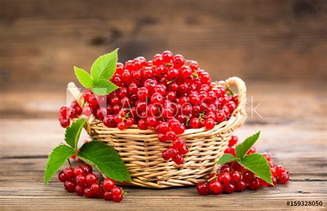 Tuna rio mare razne vrste 160g. Bobičasto voće | Vrtni Centar Viškovo