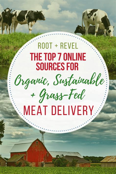 Top 9 Online Sources For Organic Meat Grass Fed Beef Delivery Root