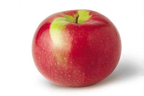 Pommes Variétés Saveurs Et Usages