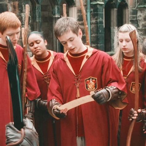 gryffindor quidditch team chamber of secrets icon aesthetic quidditch aesthetic oliver wood