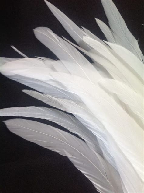 pure white rooster feathers short delicia feathers