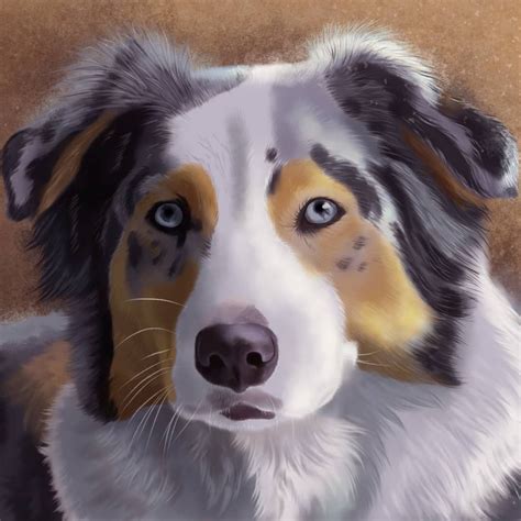 Digital Painting Australian Shepherd In 2020 Digital Painting