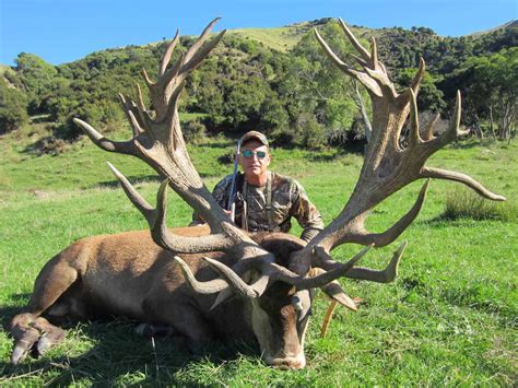 New Zealand Hunting Trips Hunt Red Stag Elk Tahr And Chamois In Nz