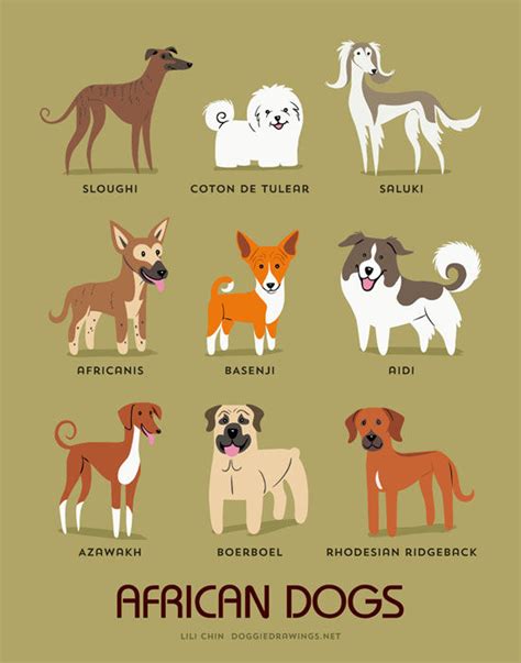 Todos Los Tipos De Razas De Perros Del Mundo Noticias Del Perro