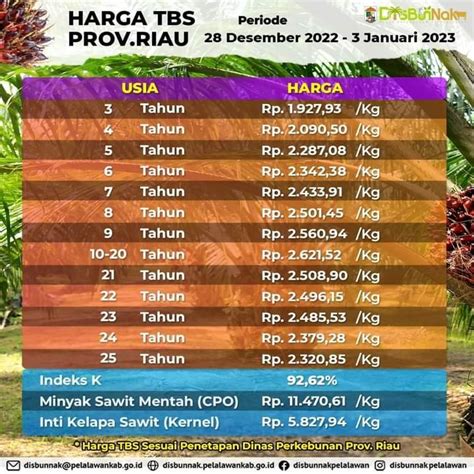 Penetapan Harga TBS Kelapa Sawit No 09 Tahun 2022