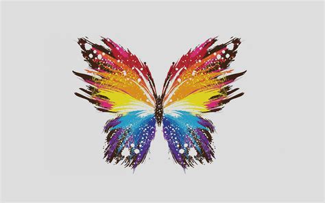 Butterfly Art Illust Cute Minimal Color Wallpapers Hd Desktop
