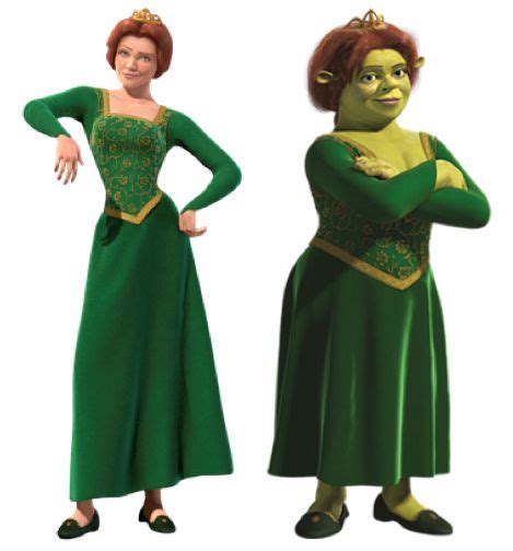 Princess Fiona Shrek In 2021 Princess Fiona Fiona Shrek Fiona Costume