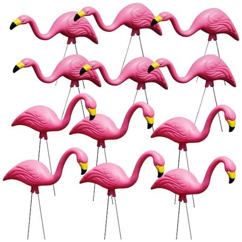 Bloem Pink Flamingo 12 Pack Bulk G2 12 The Home Depot