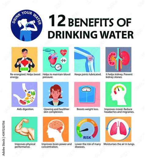 benefits of drinking water vector infographic 12 important health benefits of drinking water