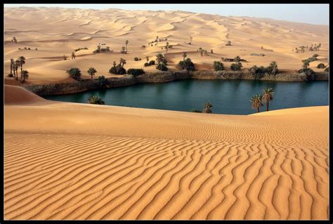 Oasis In The Sahara Desert Oasis Beautiful Nature Oasis