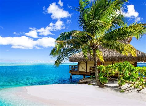 Palm Trees Beach Sea Clouds Tropical Summer Vacations Bora Bora Nature Landscape
