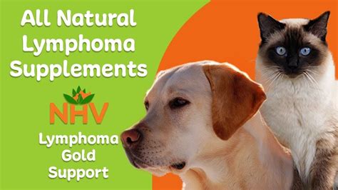 All Natural Lymphoma Supplements Lymphoma Gold Support Natural Pet