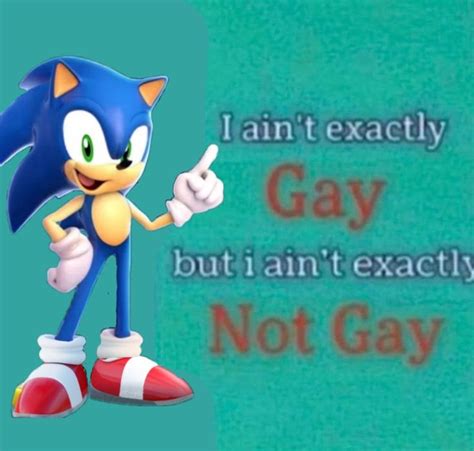 Stop That Im Not Gay Meme Ipadnasad