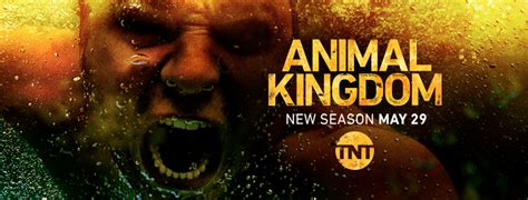 When Is The Season Finale Of Animal Kingdom - Animal Kingdom TV Show on TNT: Ratings (Cancelled or Season 4