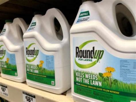 Most forms of Roundup and other glyphosate-based weed killers to be ...