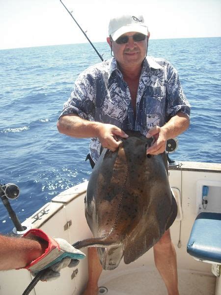 Roughtail Stingray Photo 16252 Cavalier And Blue Marlin Sport Fishing