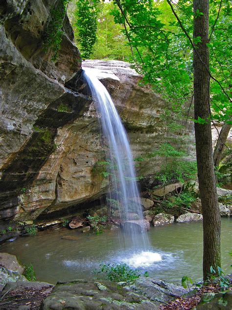 Hiking Trails Near Me With Waterfalls Illinois | ReGreen Springfield