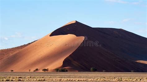Namib Desert Dune Stock Photo Image Of National Nature 103770636