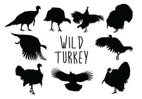 Wild Turkey Silhouette Vektor Kunst Bei Vecteezy