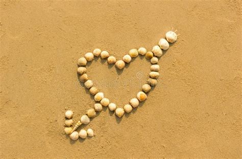 Heart And Made Of Sea Shells On The Beach Stock Photo Image Of