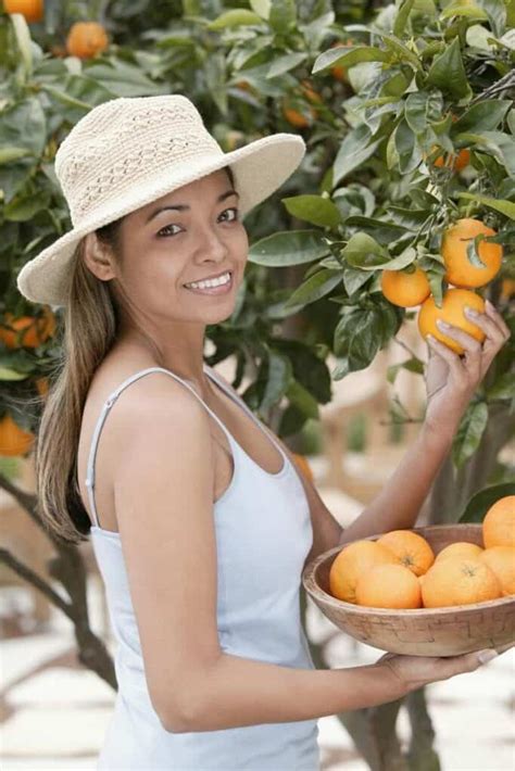 20 Fun Facts About Oranges That Will Amaze You