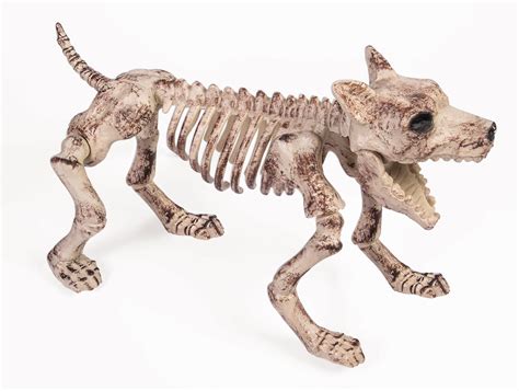 Bone Skeleton Dog Halloween Prop Décor Small Walmart Canada