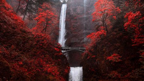 Multnomah Falls Waterfall Bridge In Autumn Red Portland