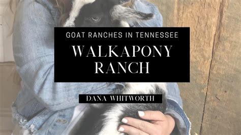 Goat Ranches In Tennessee Walkapony Ranch Youtube