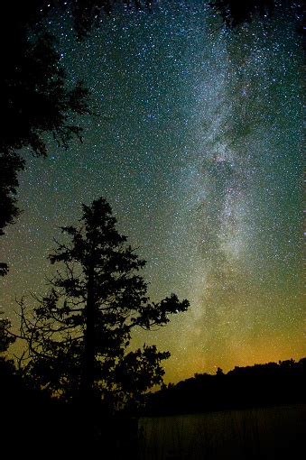 Starry Night Sky Over The Forest Stock Photo Download Image Now Istock