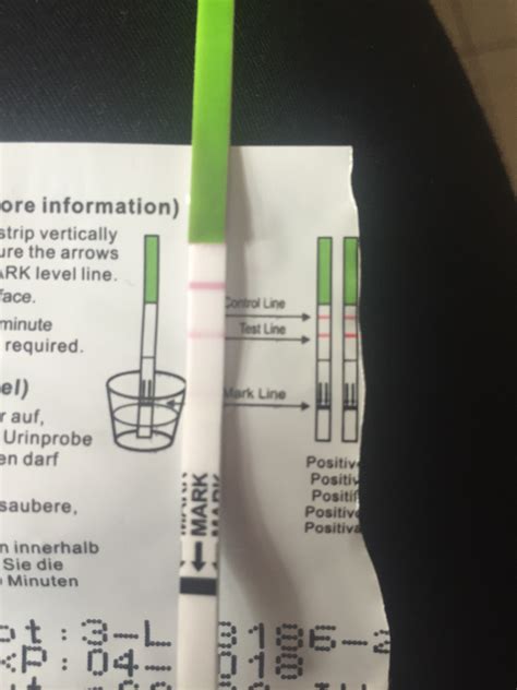 Ovulation Test Results Positive Or Negative
