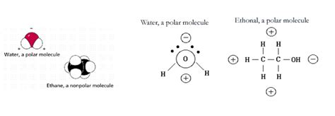 However, to determine if ch4 is polar we consider the molecular geometry or shape of the molecule. The Nature of the Living State