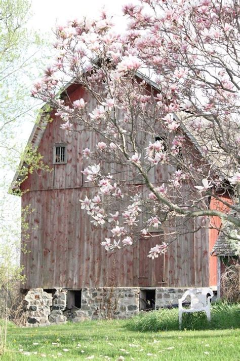 Spring On The Farm Old Barns Barn Pictures Barn