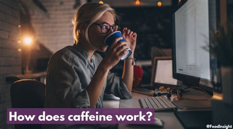 7 Things You Should Know About How Caffeine Works Everything Caffeine