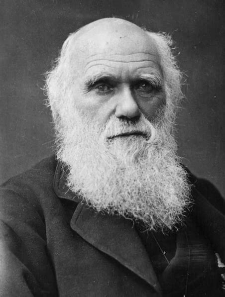 Biografía Corta De Charles Darwin Biografías Cortas