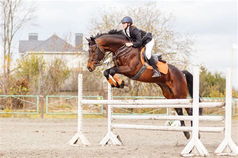 5 Tips on Moving Up a Jumping Level