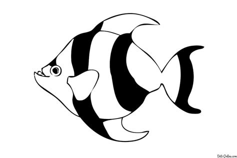 A Black And White Fish With Big Eyes